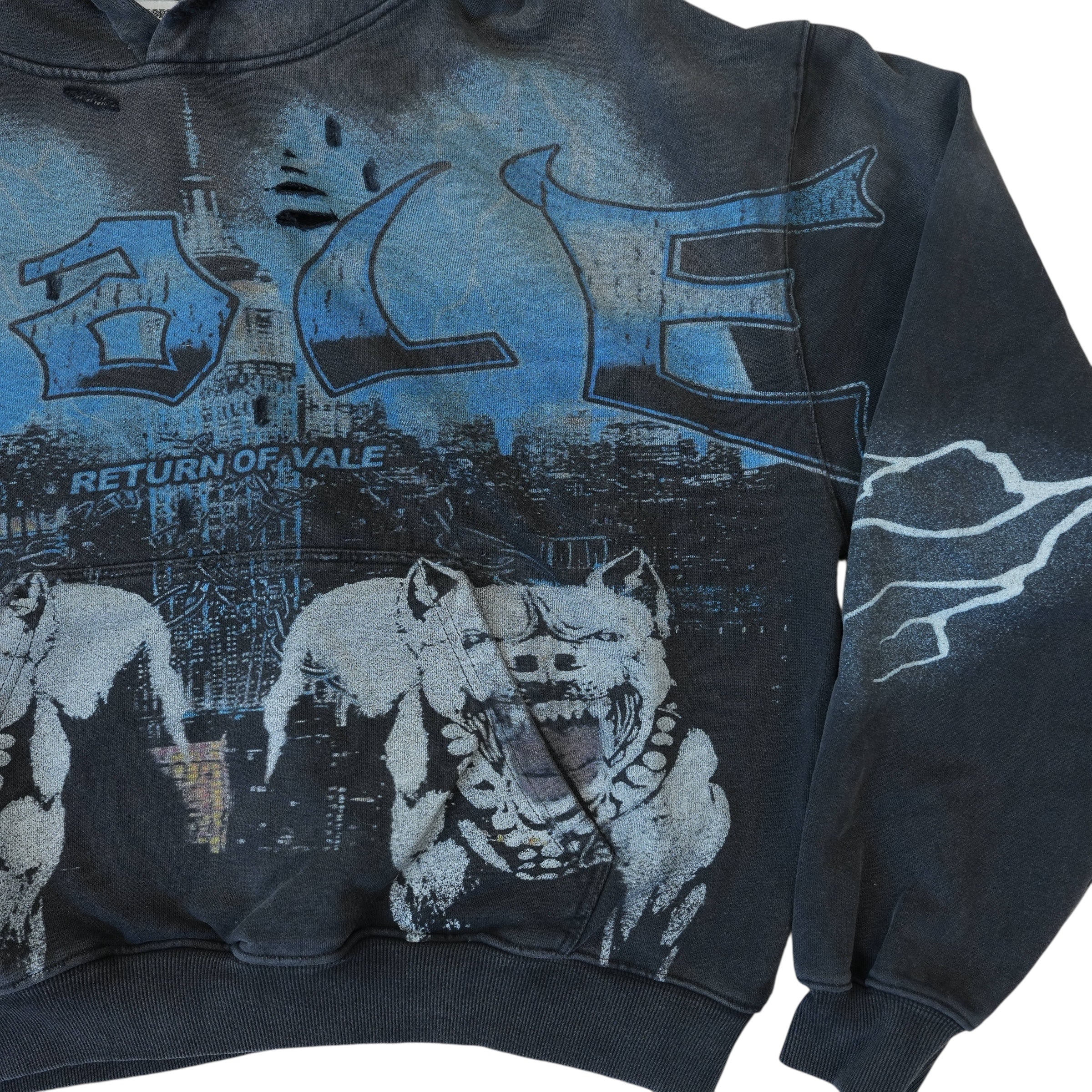 VALE FOREVER HOODIE
